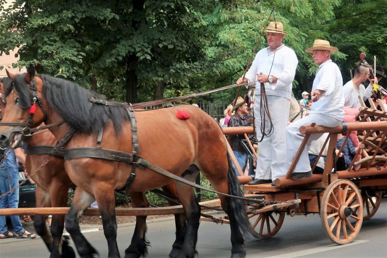 na zdjęciu wóz ciągniony przez konie a na nim czteru osoby ubrane z stroje robocze